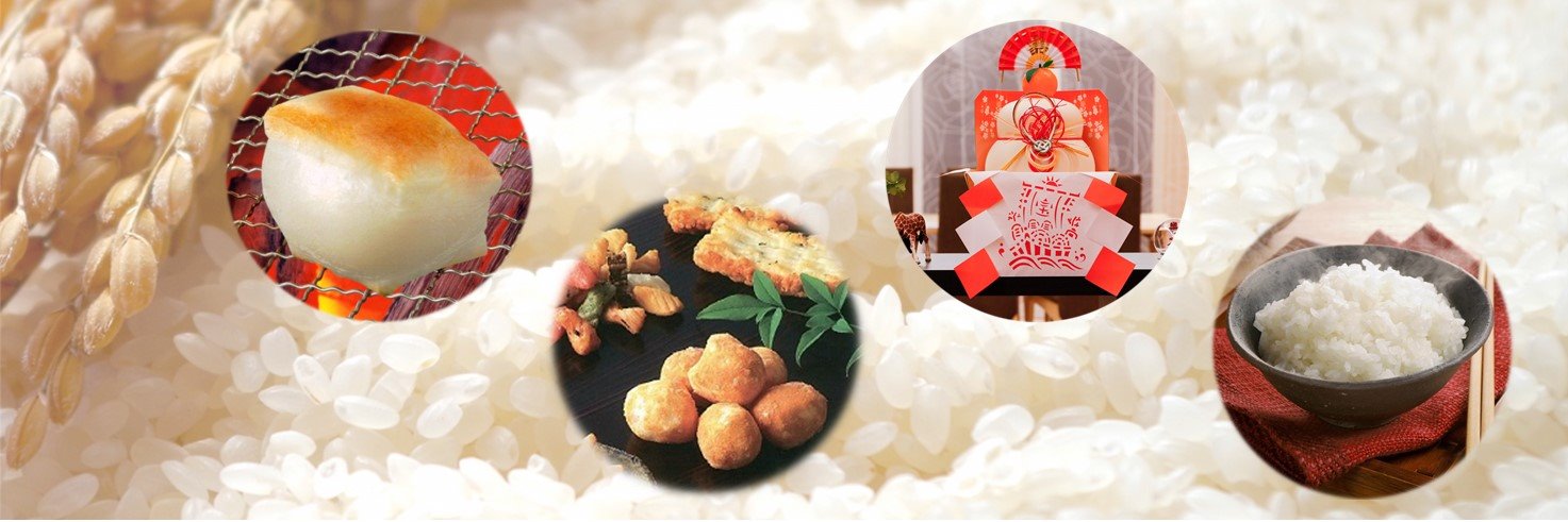 ＼正解は／越後製菓【公式】's banner