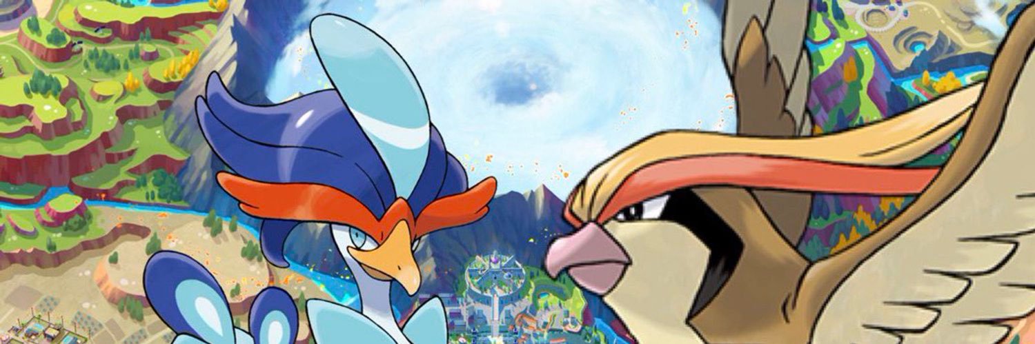 Birdboy's banner