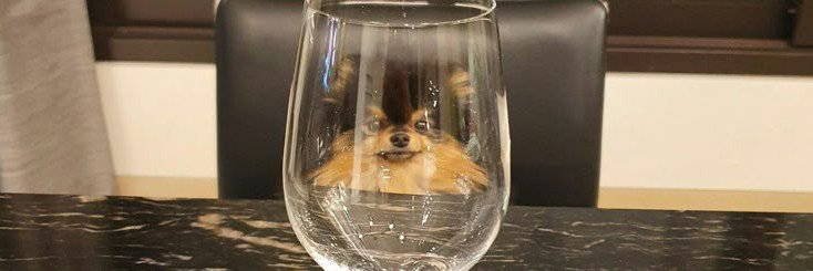 Tete VAI VER O BTS D-30's banner