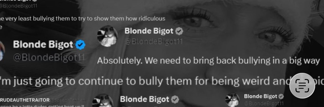 Blonde Bigot's banner