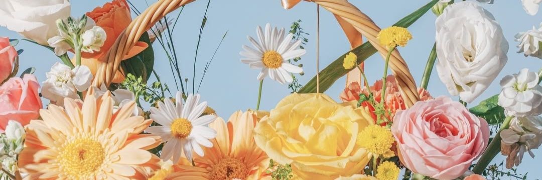捡一下肥皂哦's banner