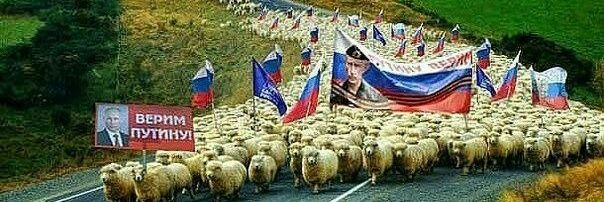 Andrei. Ukraine will win.'s banner