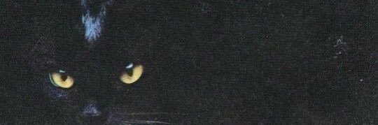 made to be a kit's banner