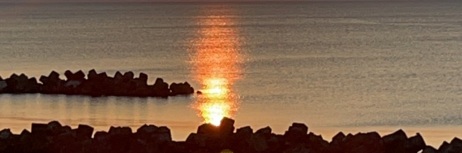 蓑虫＜みのむし＞'s banner