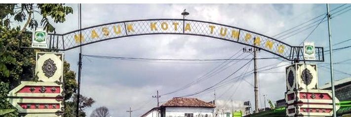top shemale's banner