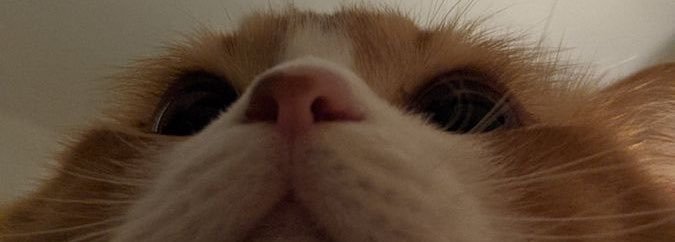 𝒓𝒖𝒃𝒚 ♡'s banner