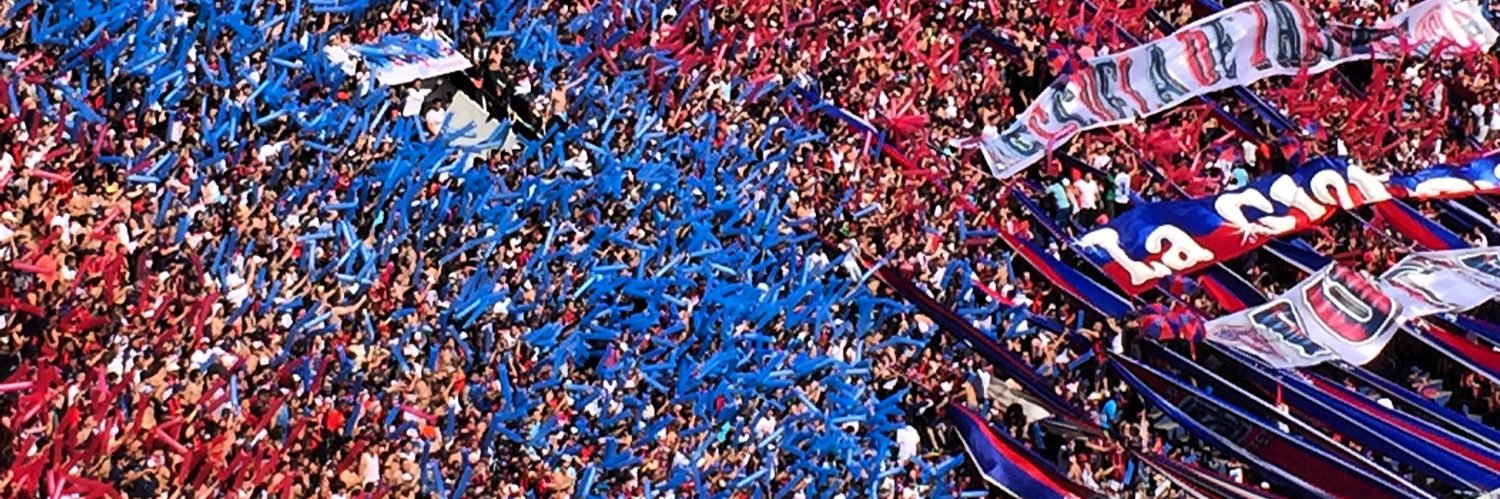 lula salomone's banner