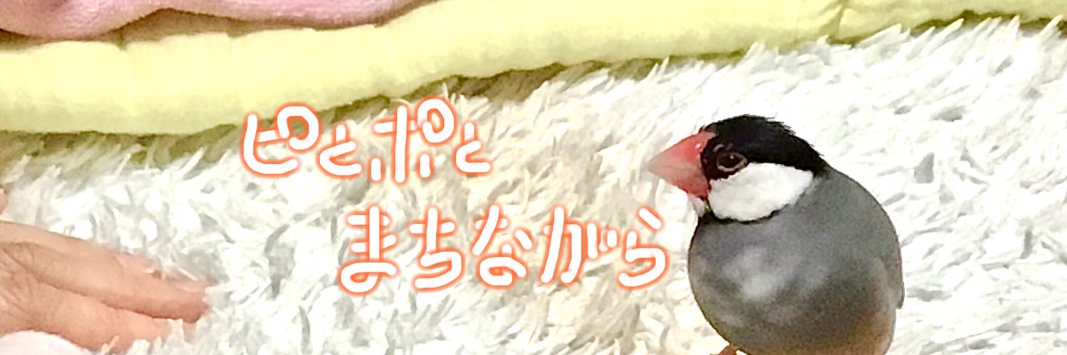 新井英樹 Hideki Arai 『ピとポとまちながら』単行本1巻発売中's banner