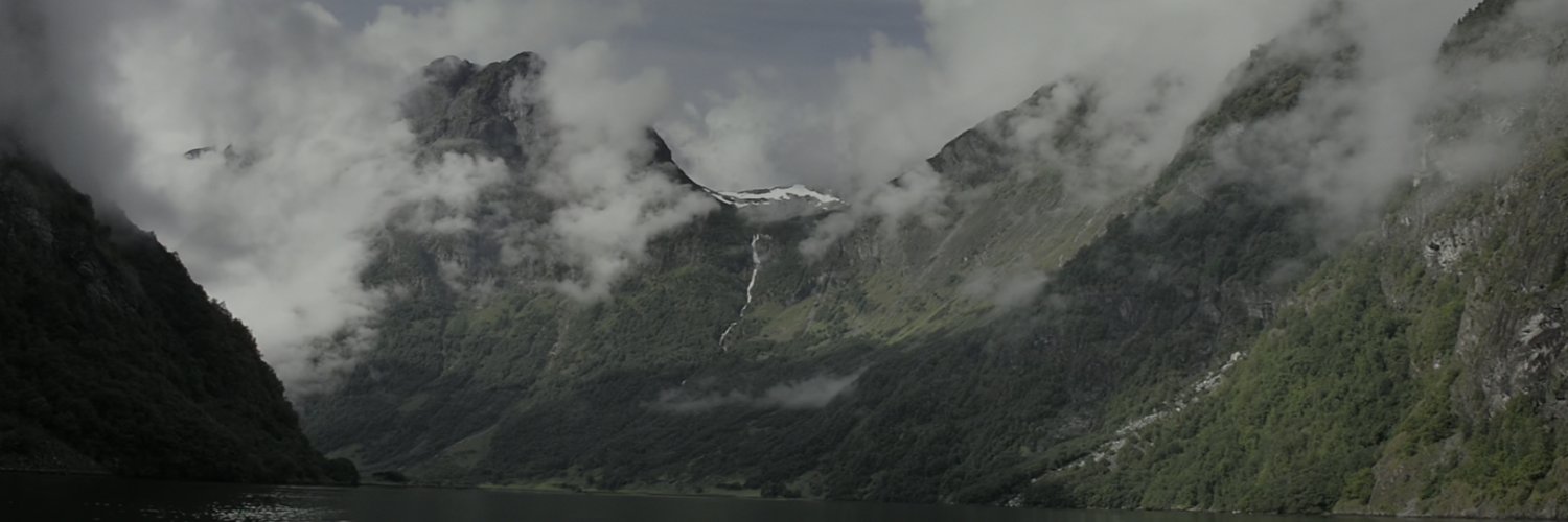 ritualx's banner