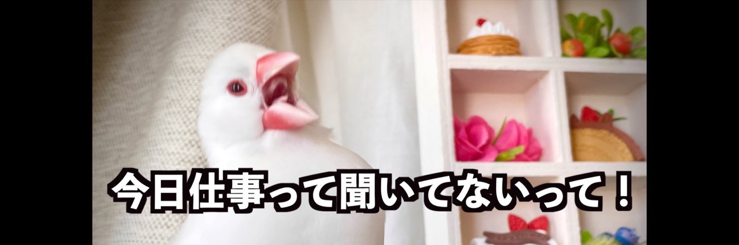 ぶん吉と父's banner