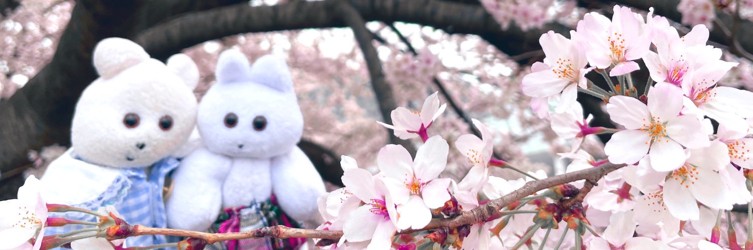 きんたろう's banner