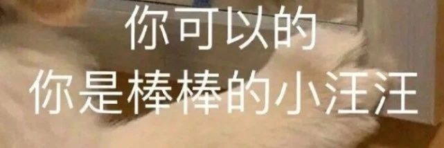 肉装软糖（减肥版）'s banner