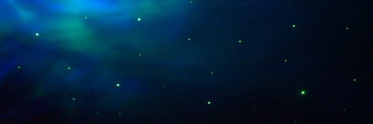 Ryl🍃's banner