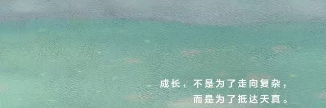 Rachel Rui's banner