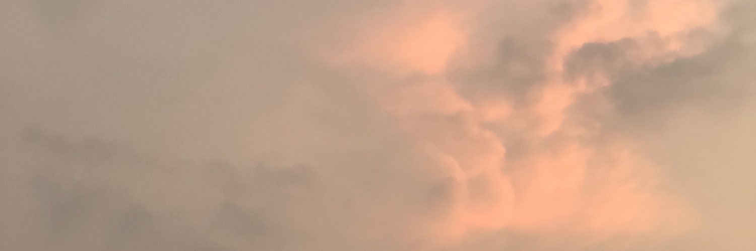 zerozero's banner