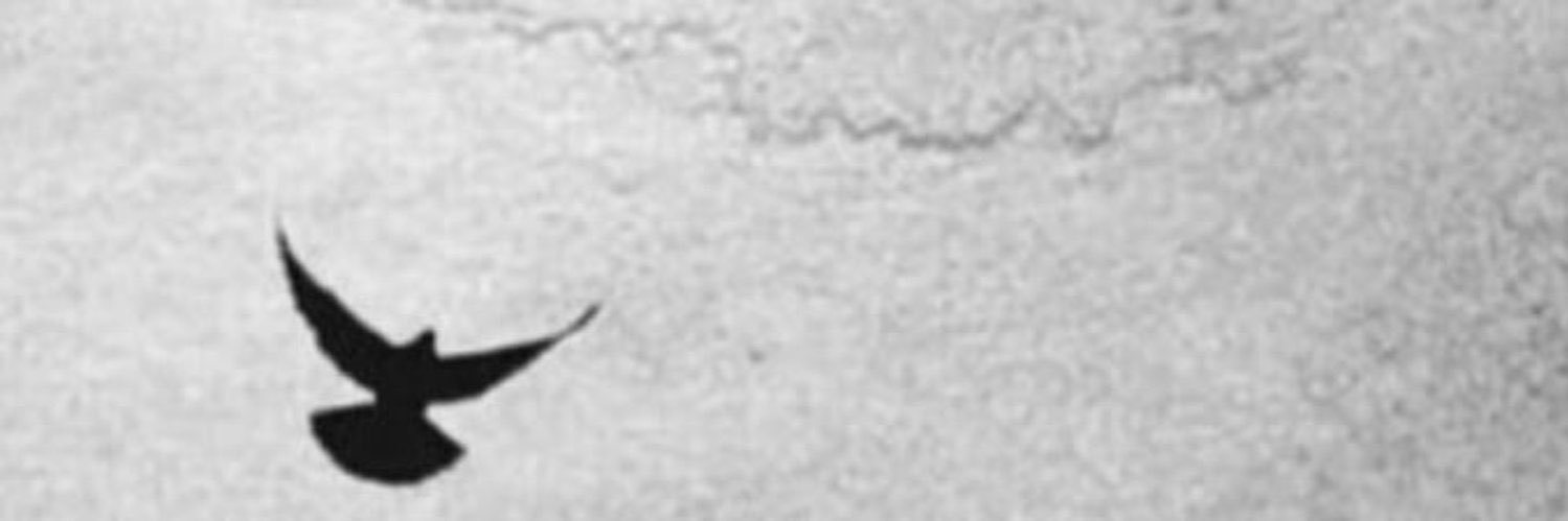 نوفمبر 🧸's banner