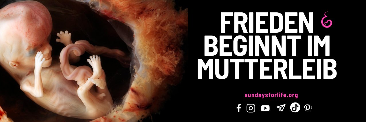 sundaysforlife's banner