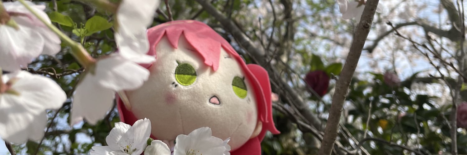 紅白もち🌸's banner