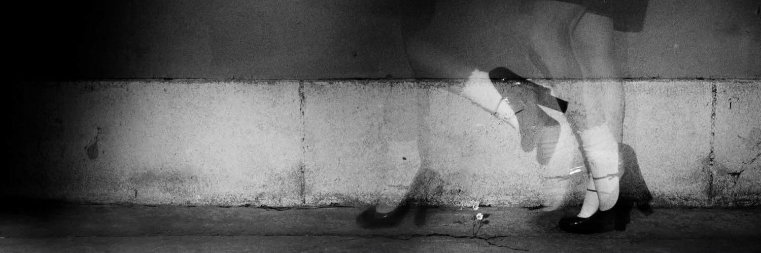 vini ꕤ｡˚⋆'s banner