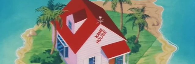 Patrick's banner