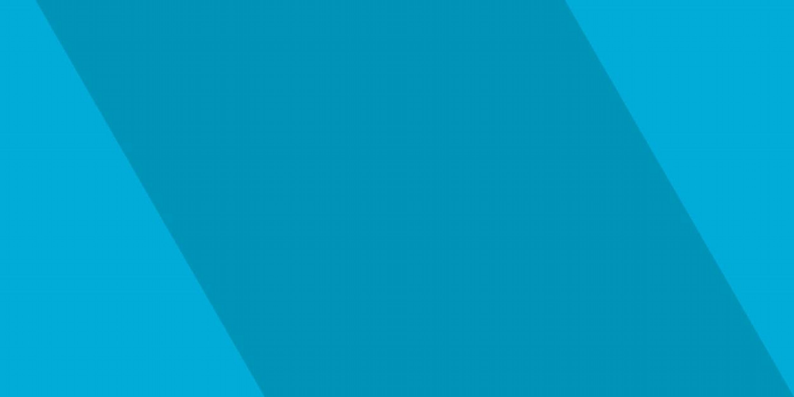 Vejdirektoratet Trafikinfo's banner