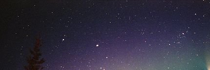 pri's banner