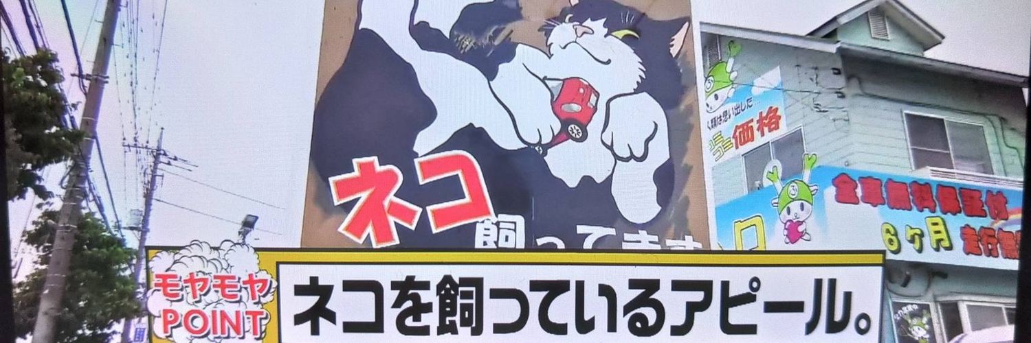 猫のいる車屋ฅฅイーカーズ's banner