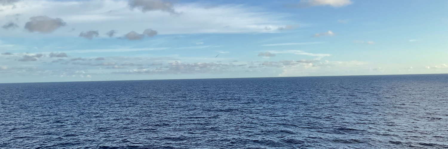 Txbear64's banner