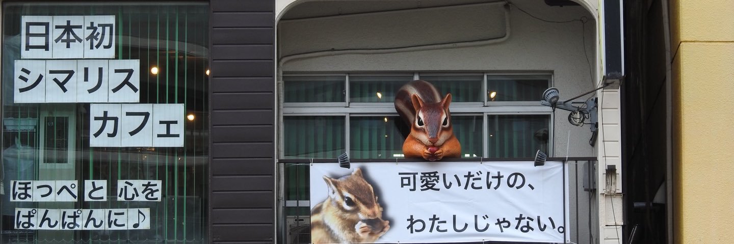シマリス カフェ®︎🐿️アースのおみせ's banner