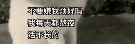 水果榨汁's banner