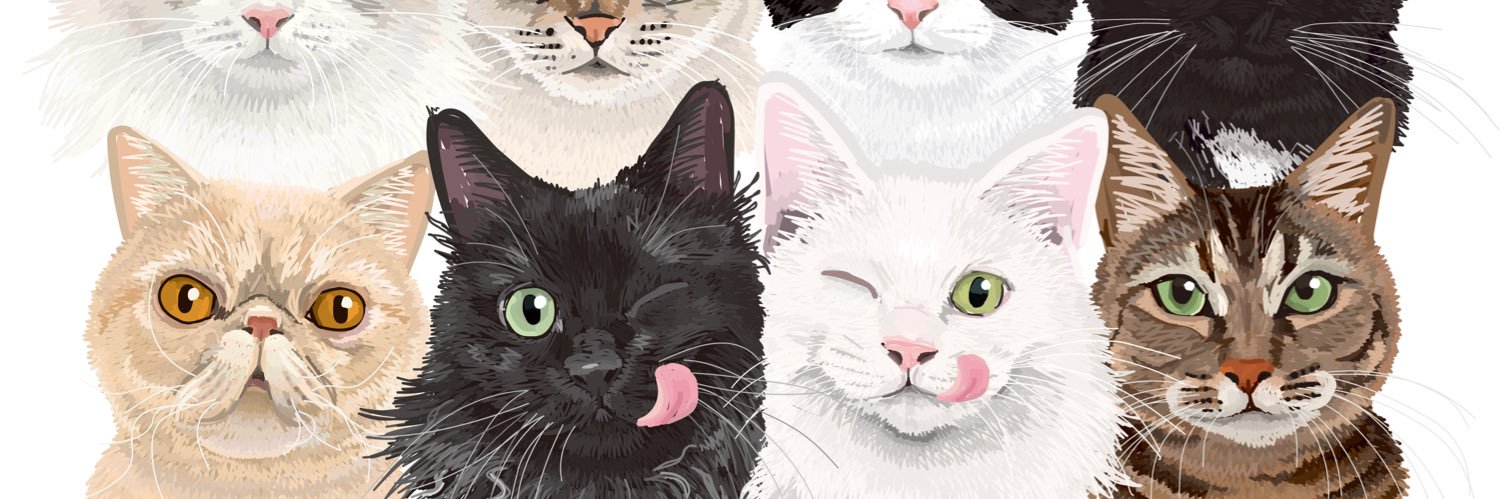 Coony｜クーニー_猫専門イラストレーター's banner