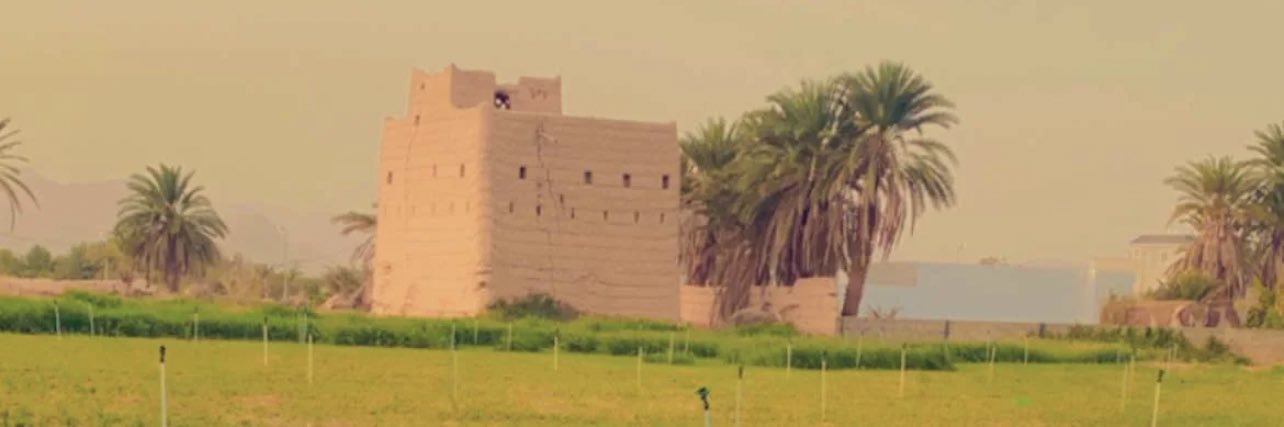 علي ال قريشه's banner