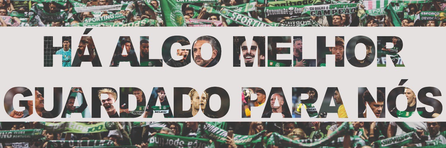 𝘚𝘵𝘢𝘳𝘴𝘩𝘪𝘱 🦎's banner