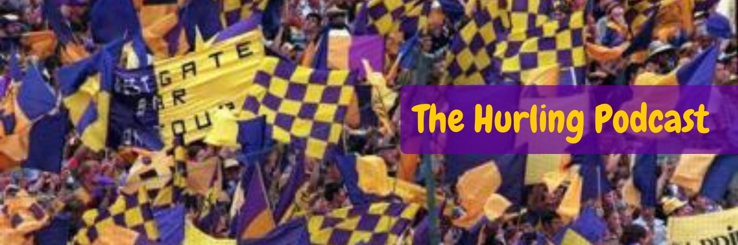 The Wexford Hurling Podcast's banner