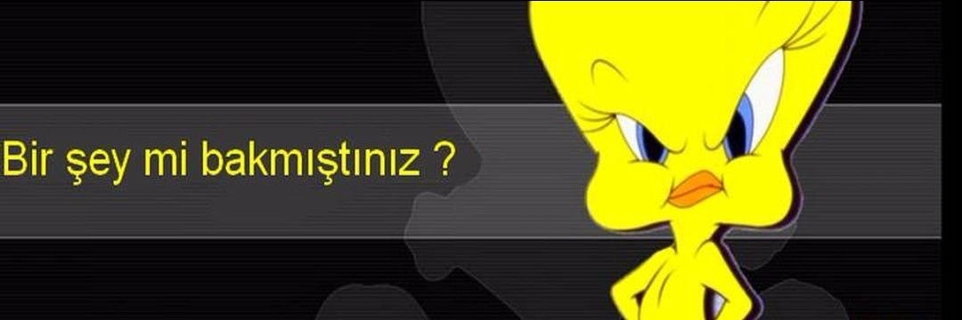“Lҽɳα” 🩰's banner