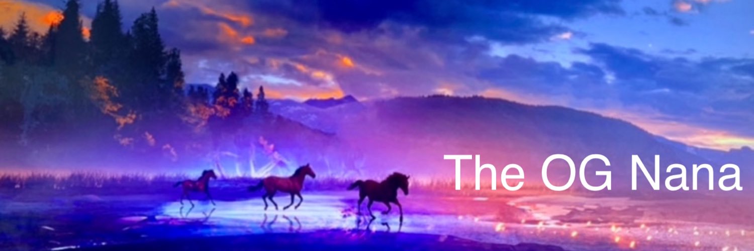 The OG Nana✨💫🤍's banner