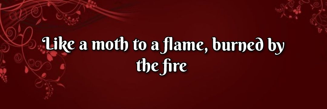 Alima's banner