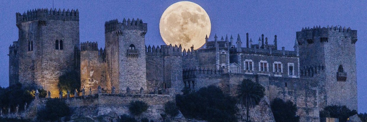 ثَامِرُ الشَّايُوشْ's banner