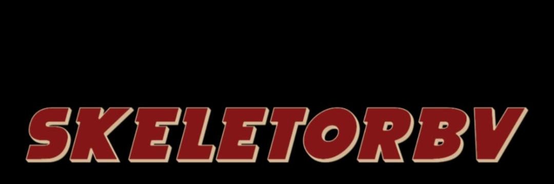 𝑺𝒌𝒆𝒍𝒆𝒕𝒐𝒓𝑩𝑽's banner