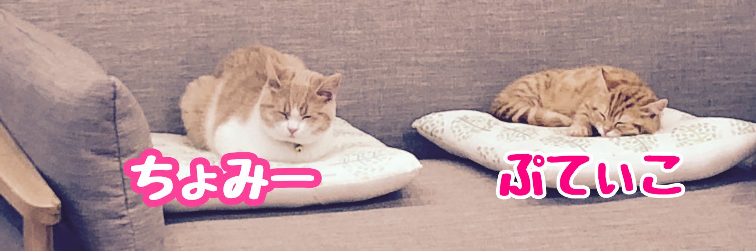 ぷっちょ🐈's banner