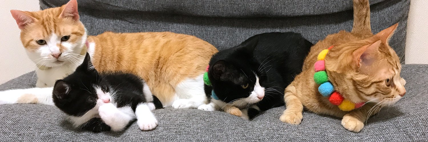 うにむぎはちむーの保護猫シェルター😸🇯🇵's banner