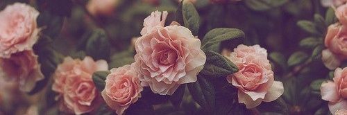Yeni.~'s banner