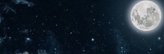 octopuspring🌕's banner