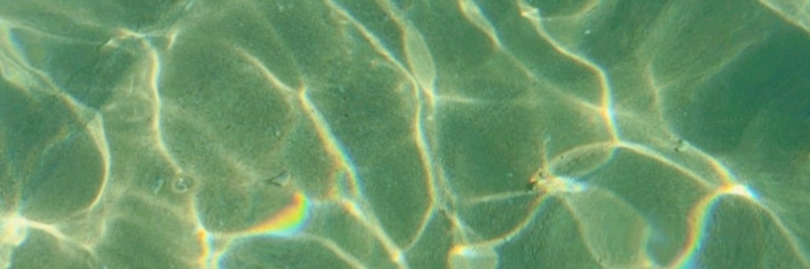 𝒮 🇹🇹🏝️'s banner