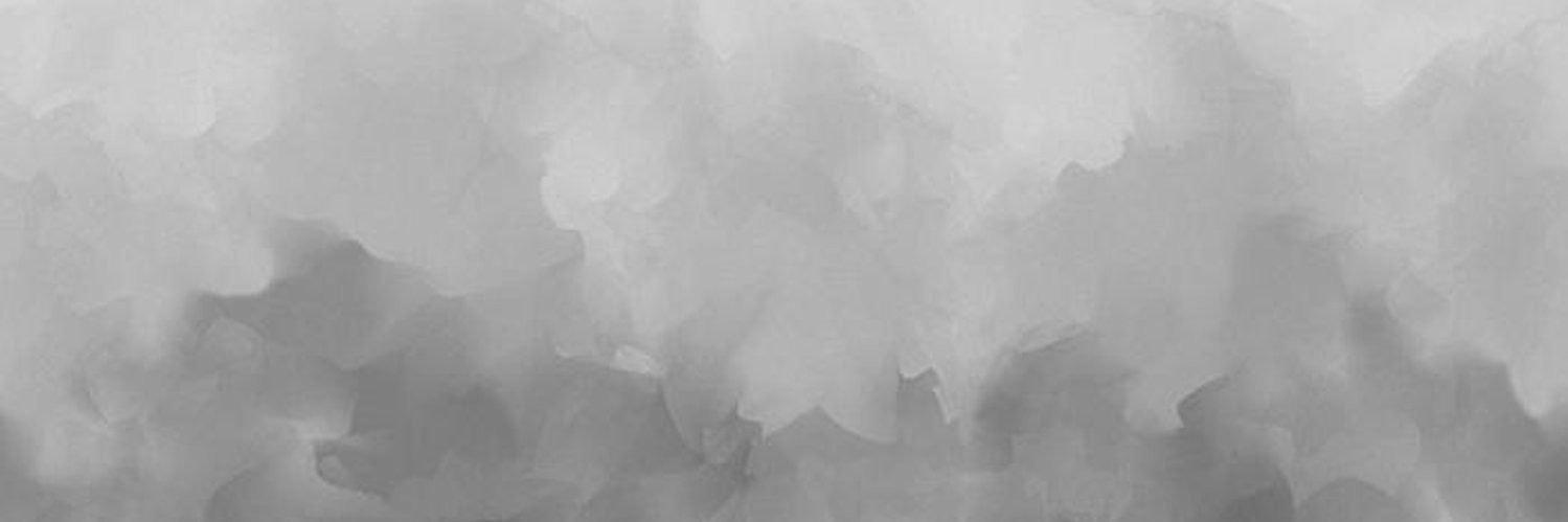 Fran's banner