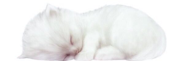 𝐍𝐢𝐠𝐡𝐭 (՞•֊•՞) is watching Top Form's banner