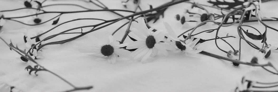Натали ♡'s banner