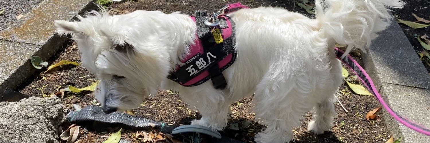 佳館 杏ノ助(Kyounosuke)'s banner