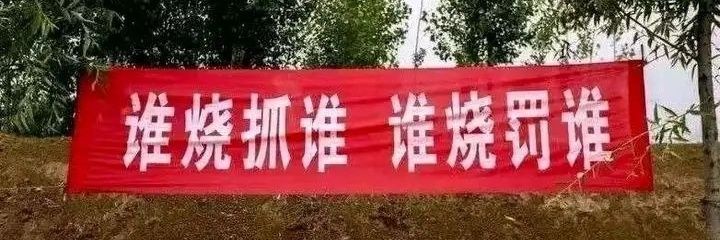 Sucralo🍡（乡下版）'s banner