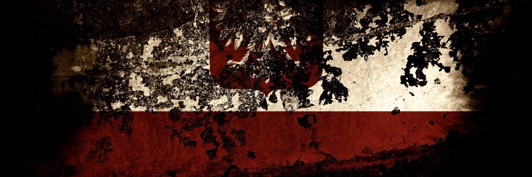 PrawyPopulista 🇵🇱's banner